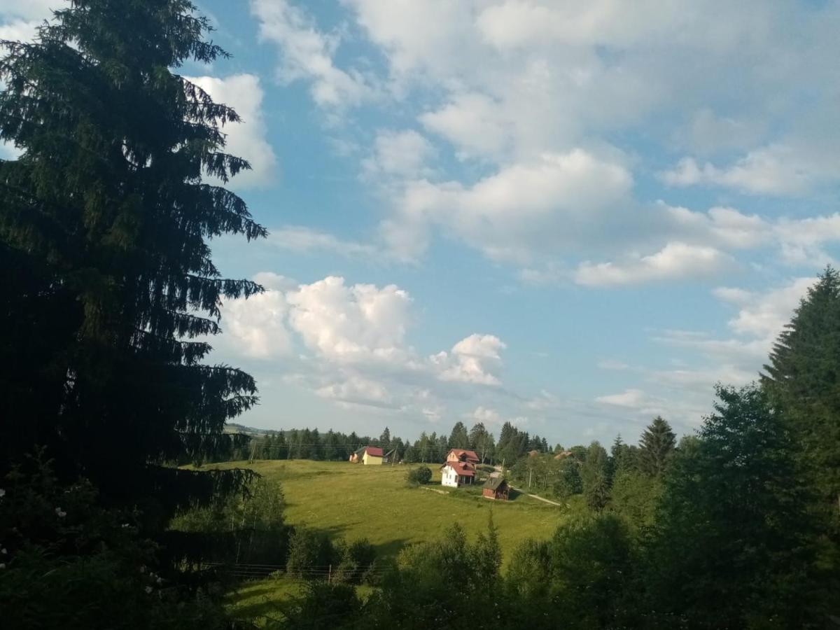 Vila Vasojevic Hotel Nova Varoš Kültér fotó